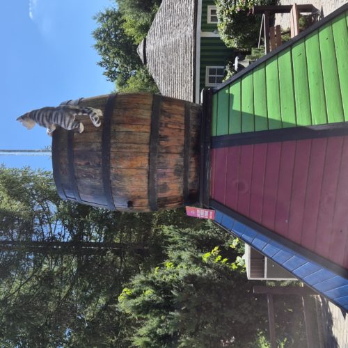 Farma Iluzji - Edukacyjny Park Rozrywki